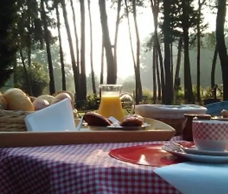 Holiday home Helpende Hand Oelegem